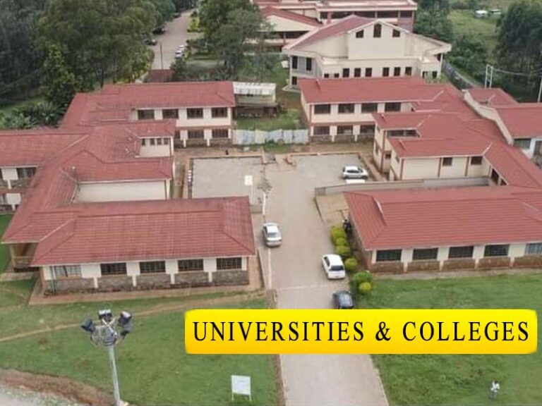 Best Universities and Colleges in Kisii