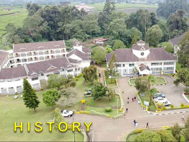 History of Karatina University