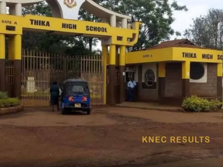 Thika High School