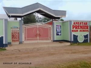 Anestar Schools Performance
