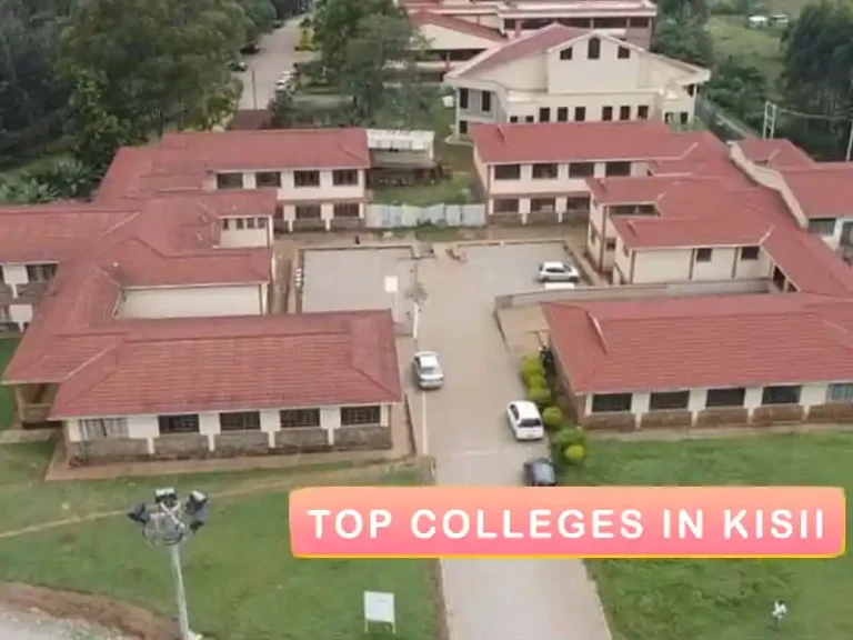 Best Colleges in Kisii County