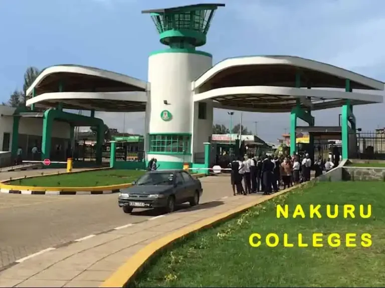 Best Colleges in Nakuru County