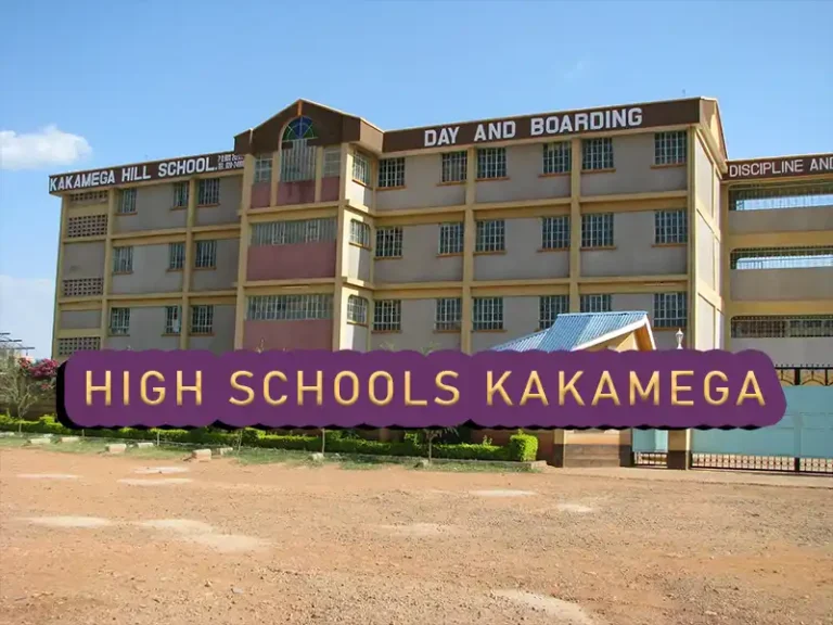 Best Secondary Schools in Kakamega County