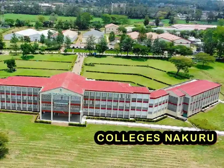 Best Colleges in Nakuru County