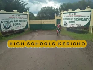 Best Secondary Schools in Kericho County