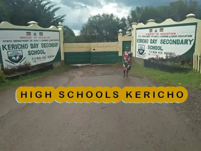 Best Secondary Schools in Kericho County
