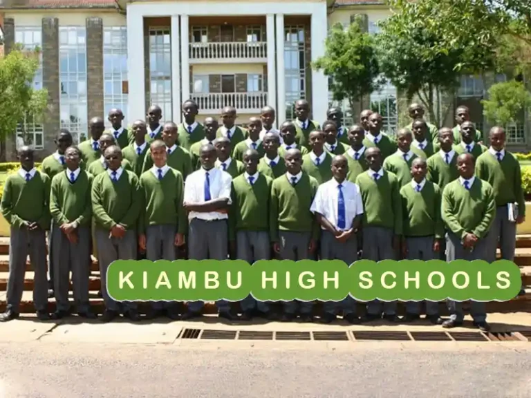 Best Secondary Schools in Kiambu County