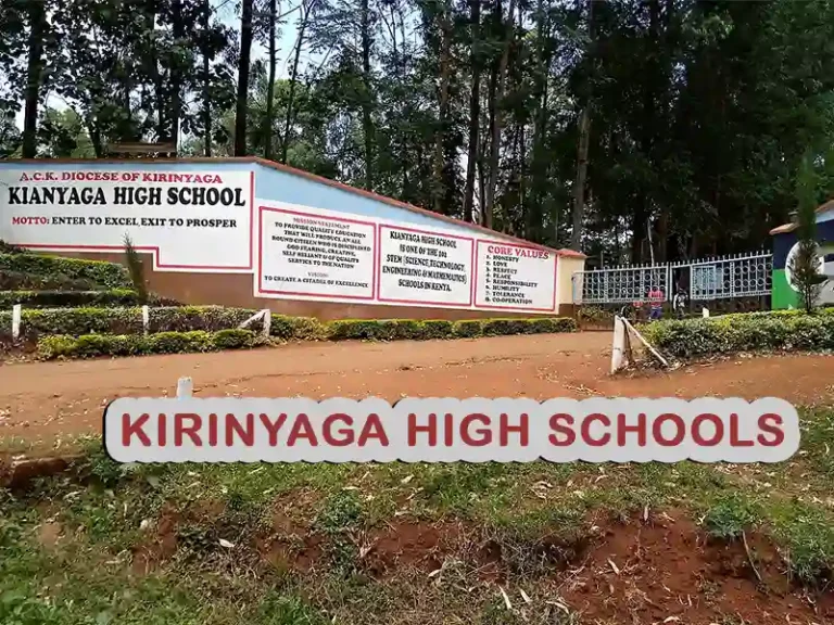 Best Secondary Schools in Kirinyaga County