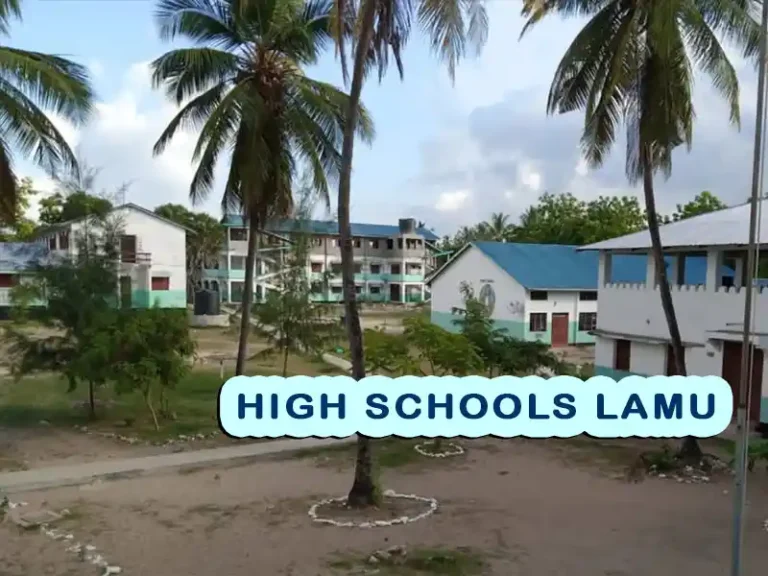 Best Secondary Schools in Lamu County