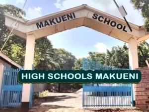 Best Secondary Schools in Makueni County