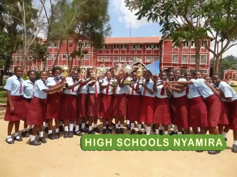 Best Secondary Schools in Nyamira County