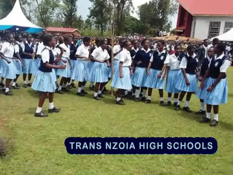 Best Secondary Schools in Trans Nzoia County