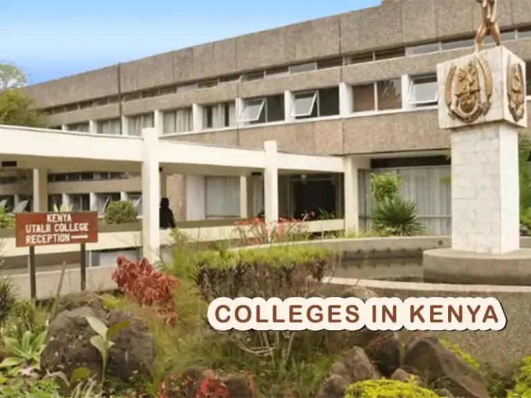 Best Colleges in Kenya