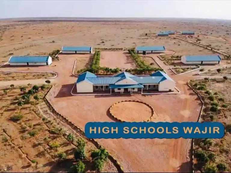 Best Secondary Schools in Wajir County