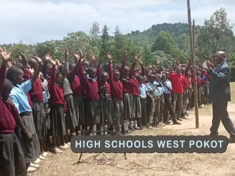 Best Secondary Schools in West Pokot County