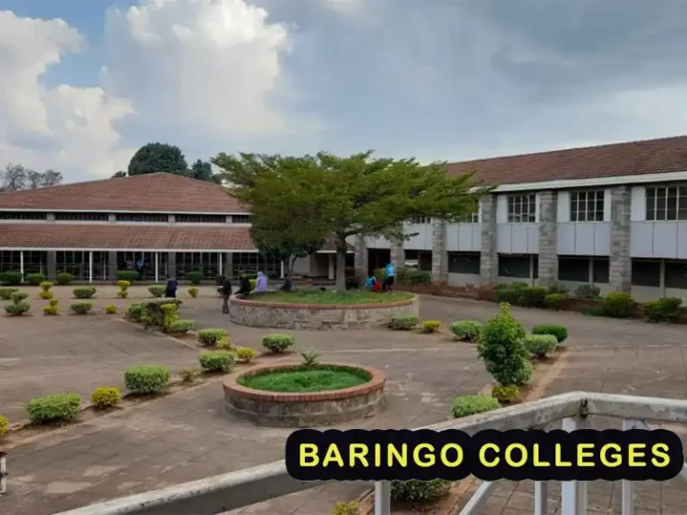 Best Colleges in Baringo County